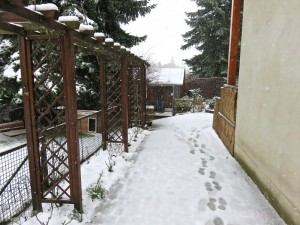 Von der Haustür aus hinter zu den Zwingern und der Y-Truppe (im Schnee).