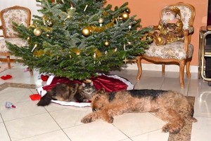 Und nun sind alle zufrieden, glücklich, schlafen unter'm Baum bei ihren Geschenken.